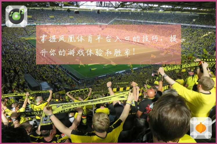 掌握凤凰体育平台入口的技巧，提升你的游戏体验和胜率！